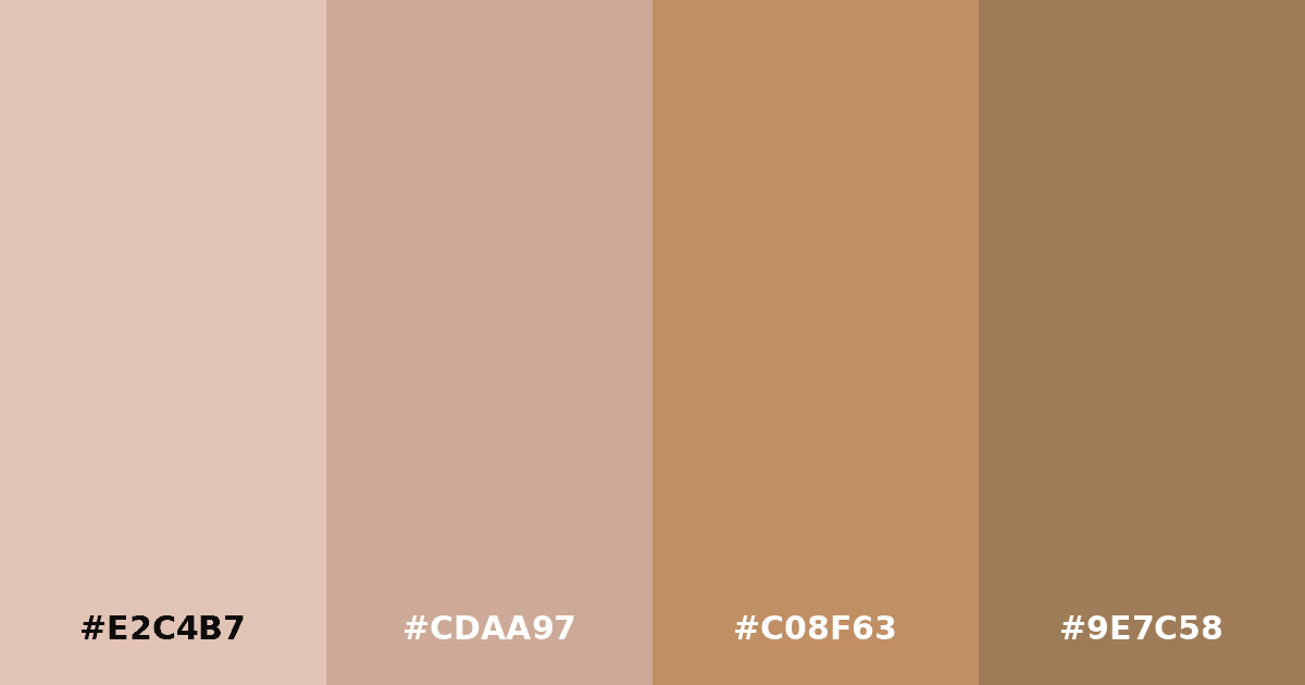 Color palette #E2C4B7 #CDAA97 #C08F63 #9E7C58