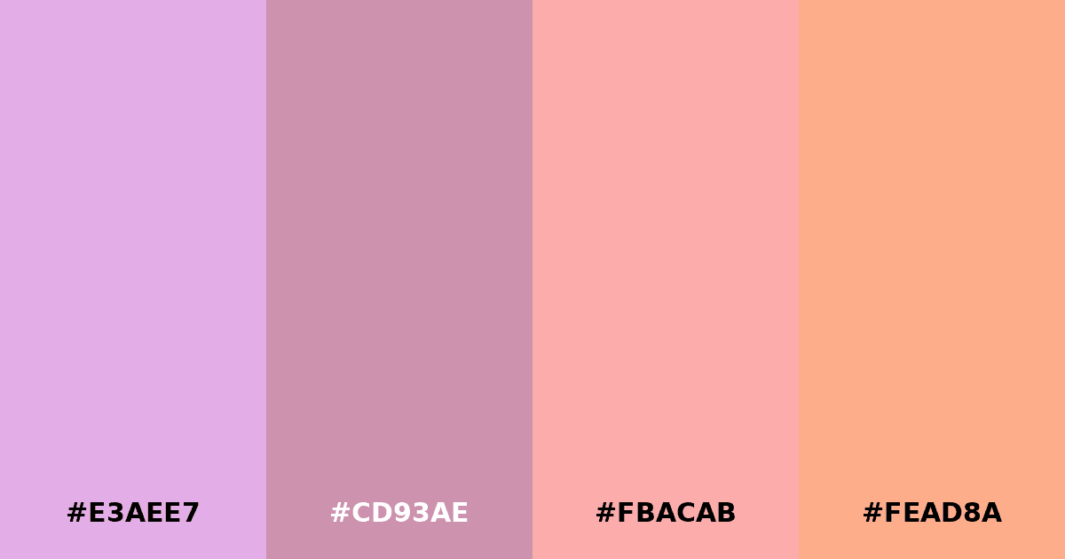 Color palette #E3AEE7 #CD93AE #FBACAB #FEAD8A