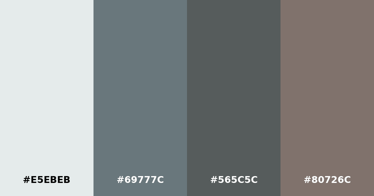 Color palette #E5EBEB #69777C #565C5C #80726C
