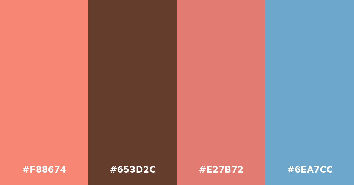 Color palette #F88674 #653D2C #E27B72 #6EA7CC