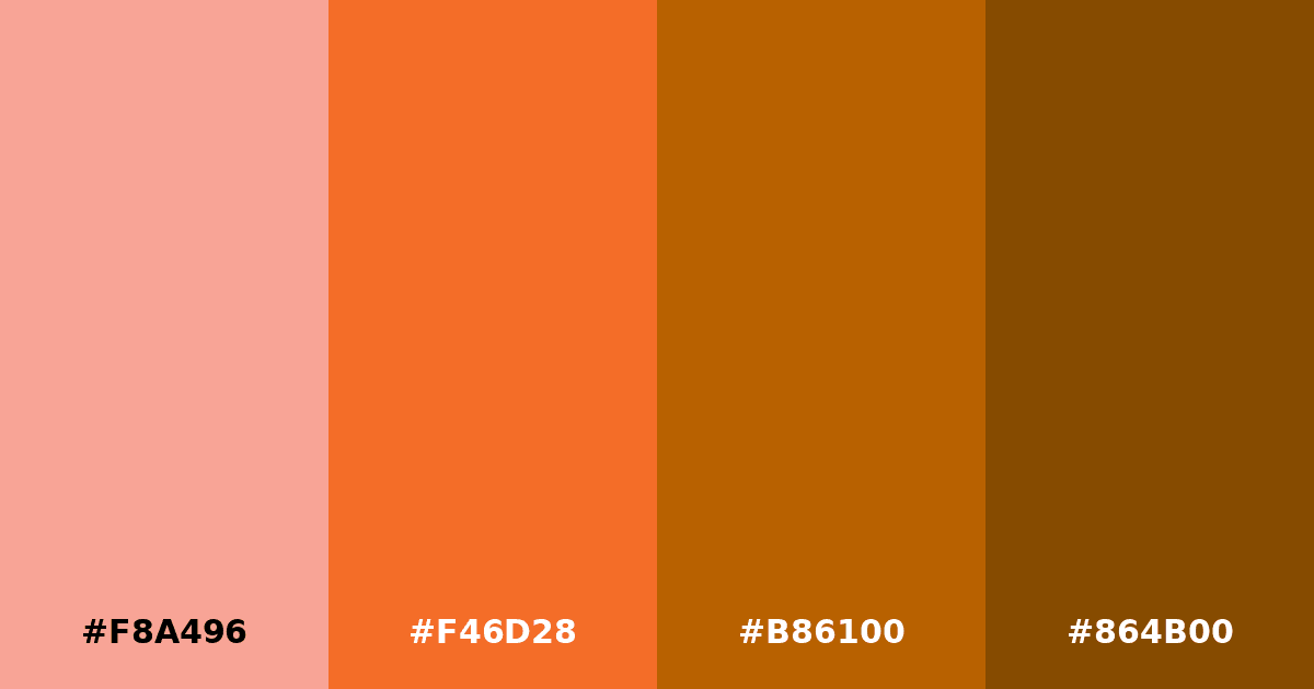 Color palette #F8A496 #F46D28 #B86100 #864B00