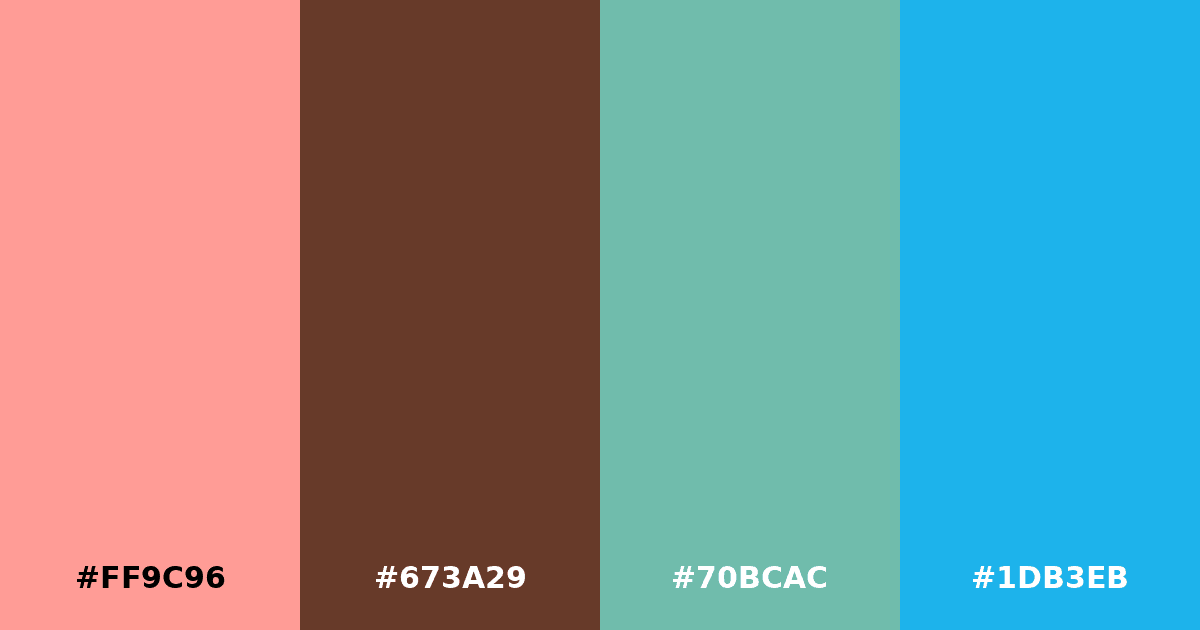 Color palette #FF9C96 #673A29 #70BCAC #1DB3EB